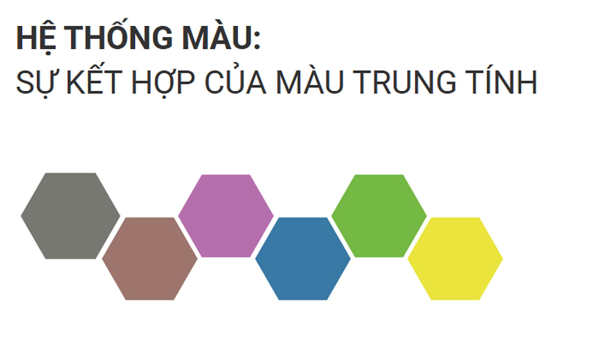 Bảng màu Fujilife